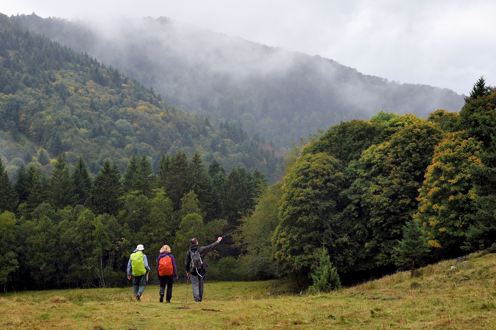Bertrand RIEGER - HEMIS